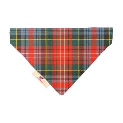 Snappy Rascals Caledonian Collection Tartan Dog Bandana (Caledonia Modern)